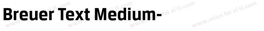 Breuer Text Medium字体转换